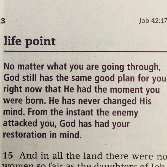 Custom painted cap with gem detail and adjustable mesh back - Picture 4 of 4